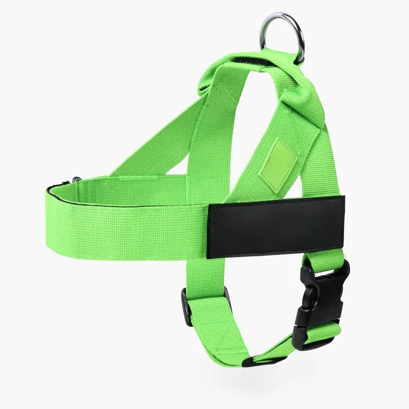 Dog Harness & Leash Set – Comfort, Safety & Control——Free shipping