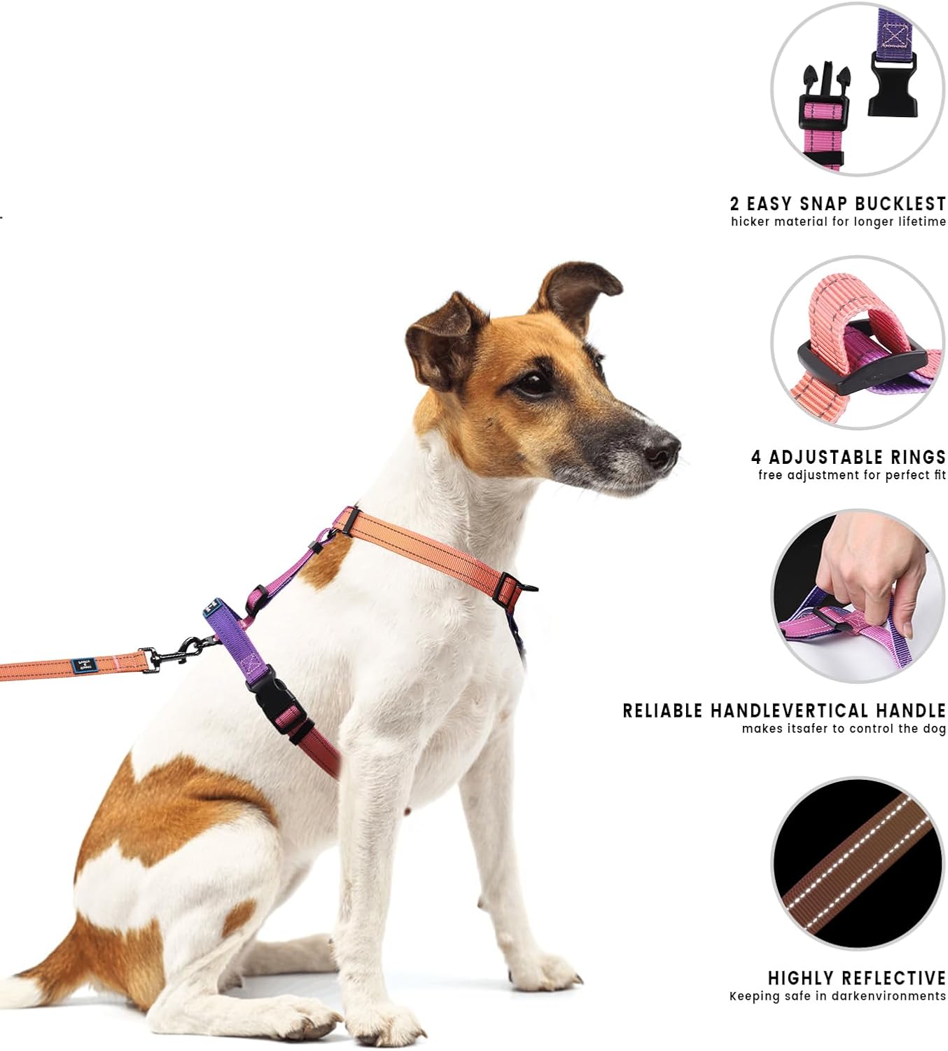 Perfect Fit Dog Harness & Leash Set – Size M (Neck 14.5–22″ | Chest 21–28″)