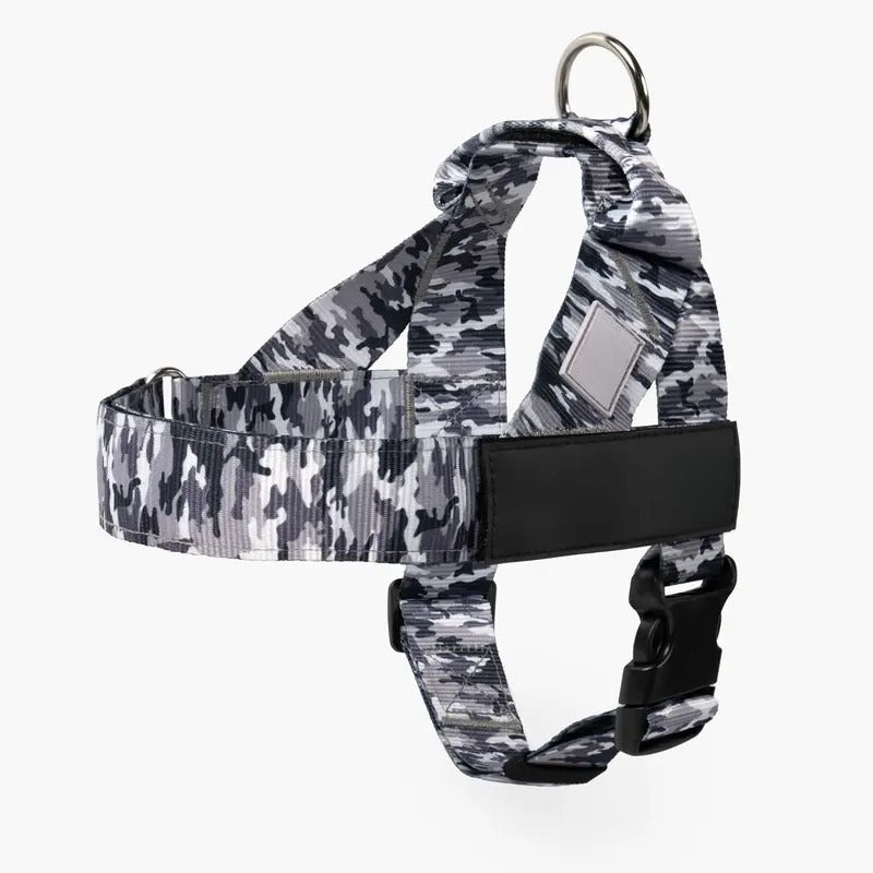 Dog Harness & Leash Set – Comfort, Safety & Control——Free shipping