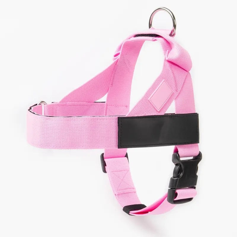 Dog Harness & Leash Set – Comfort, Safety & Control——Free shipping