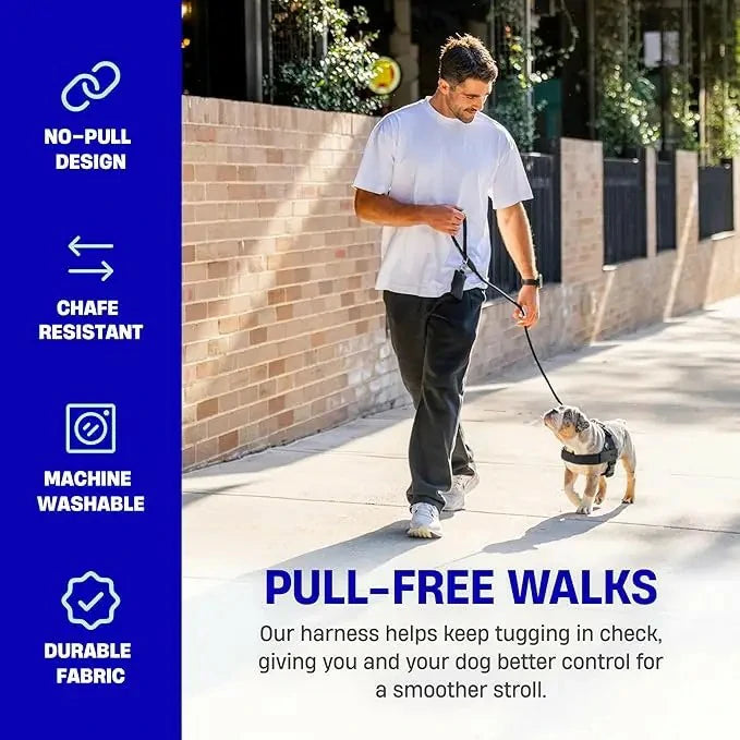 Dog Harness & Leash Set – Comfort, Safety & Control——Free shipping