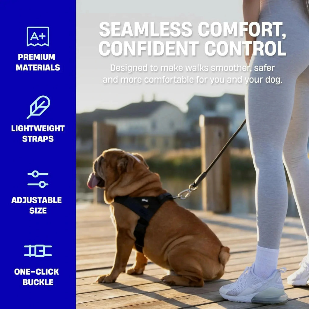 Dog Harness & Leash Set – Comfort, Safety & Control——Free shipping
