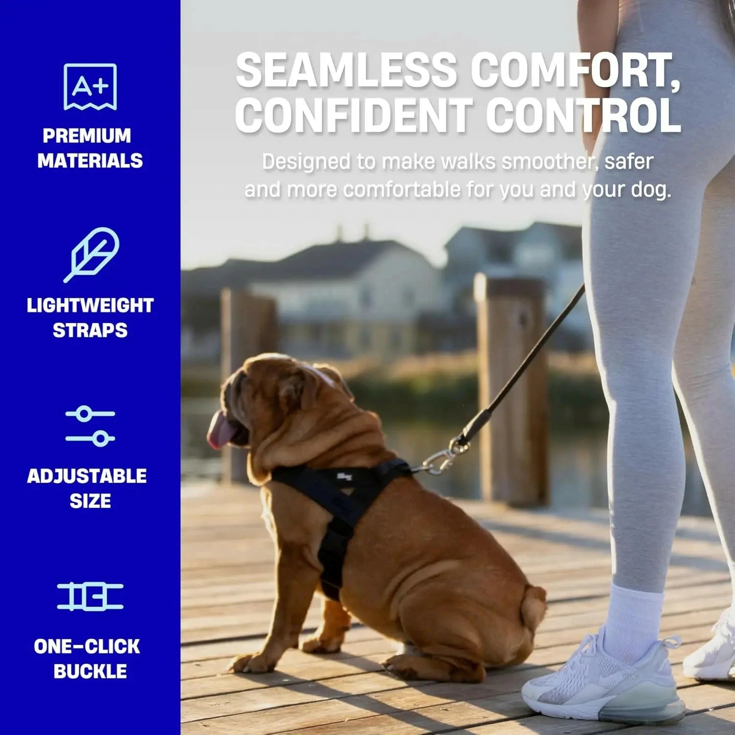 Dog Harness & Leash Set – Comfort, Safety & Control——Free shipping