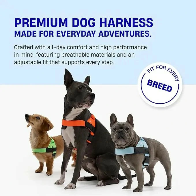 Dog Harness & Leash Set – Comfort, Safety & Control——Free shipping