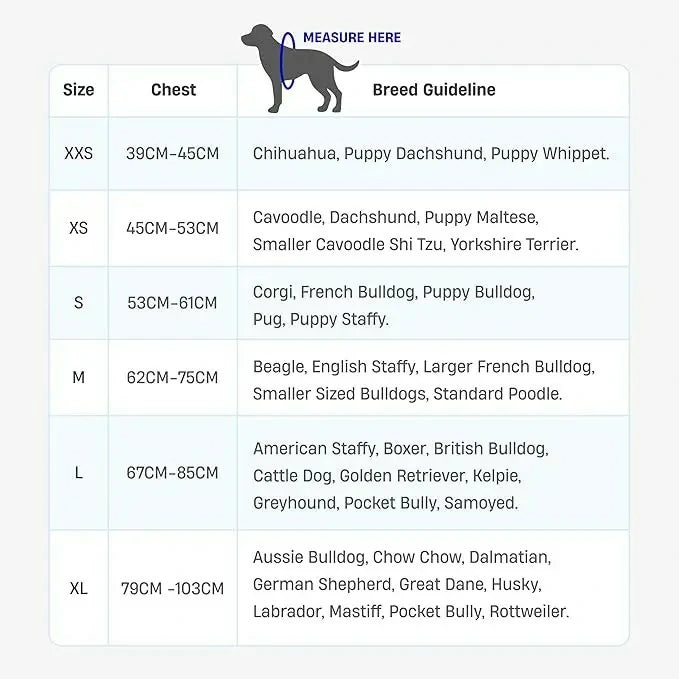 Dog Harness & Leash Set – Comfort, Safety & Control——Free shipping