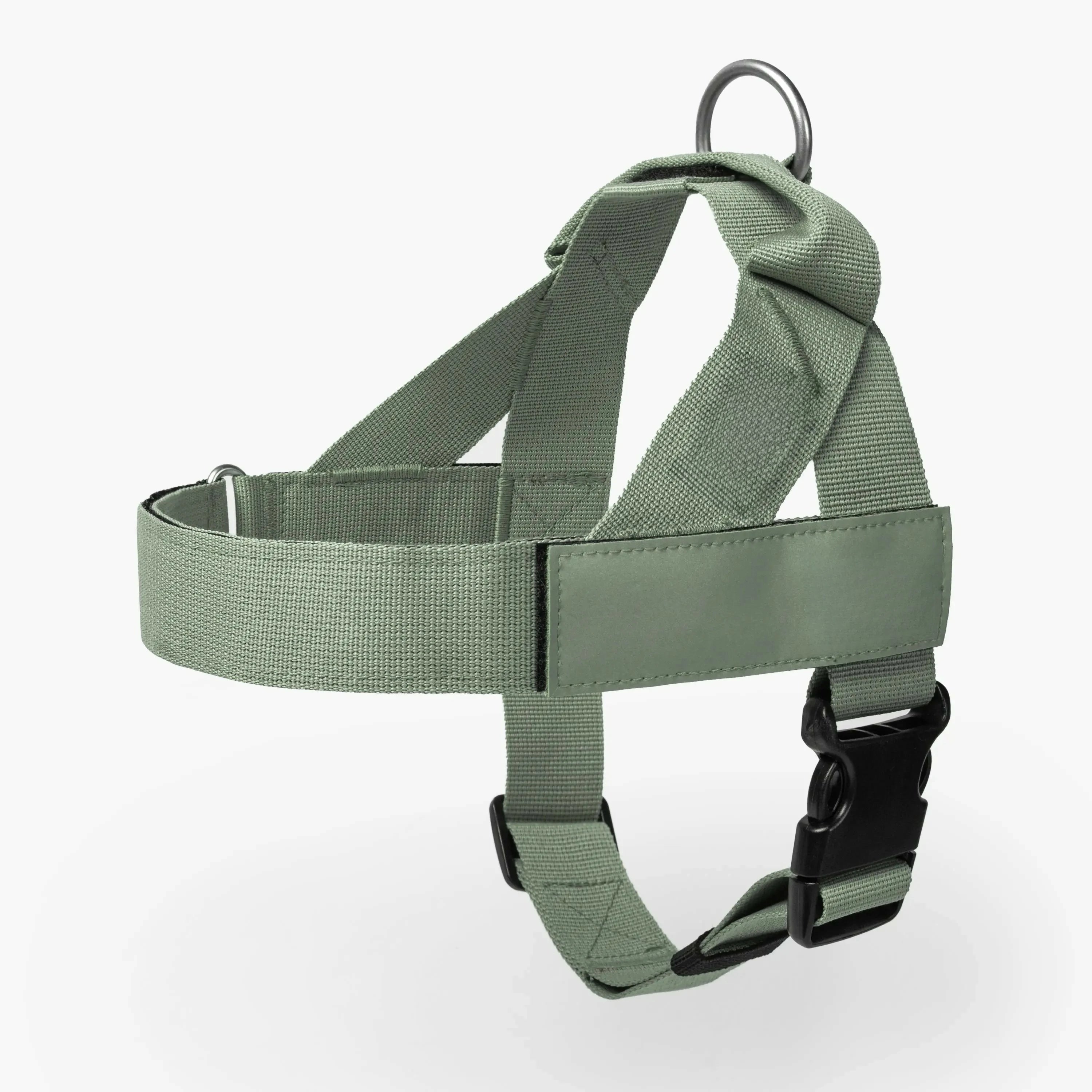 Dog Harness & Leash Set – Comfort, Safety & Control——Free shipping