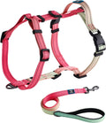 Perfect Fit Dog Harness & Leash Set – Size M (Neck 14.5–22″ | Chest 21–28″)