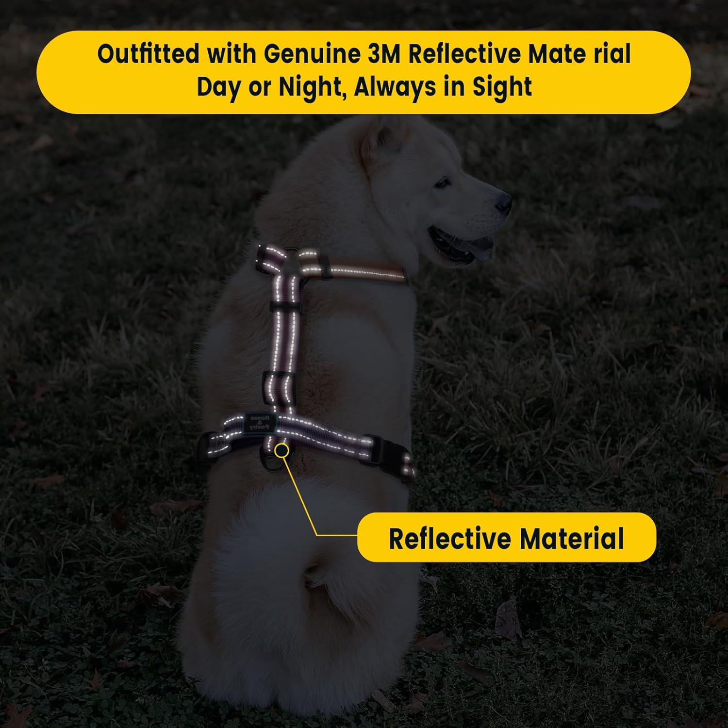 Perfect Fit Dog Harness & Leash Set – Size M (Neck 14.5–22″ | Chest 21–28″)