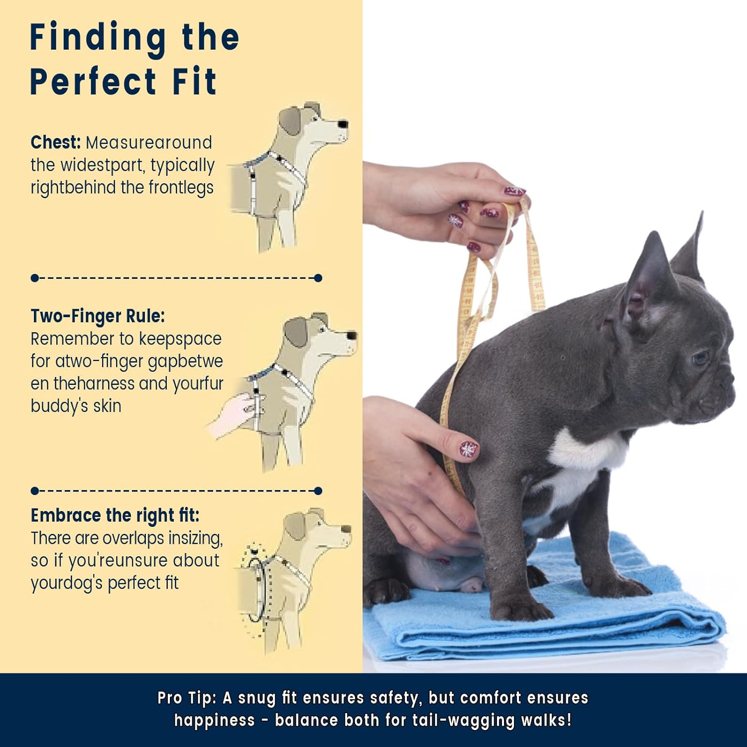 Perfect Fit Dog Harness & Leash Set – Size M (Neck 14.5–22″ | Chest 21–28″)