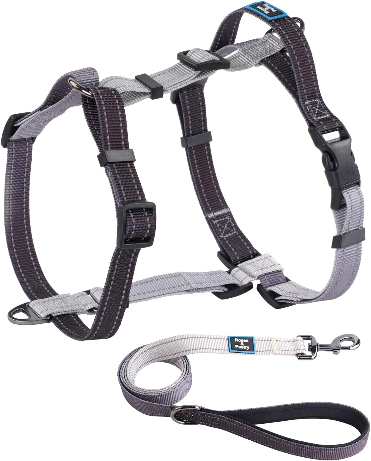 Perfect Fit Dog Harness & Leash Set – Size M (Neck 14.5–22″ | Chest 21–28″)