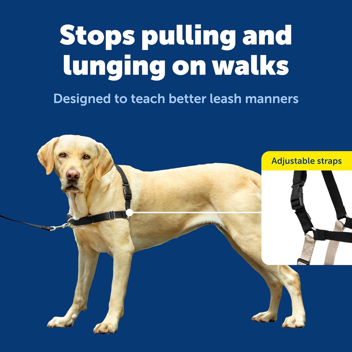 Easy Walk No-Pull Harness – Stops Pulling Kindly, Trusted by 1M+ Pet Parents
