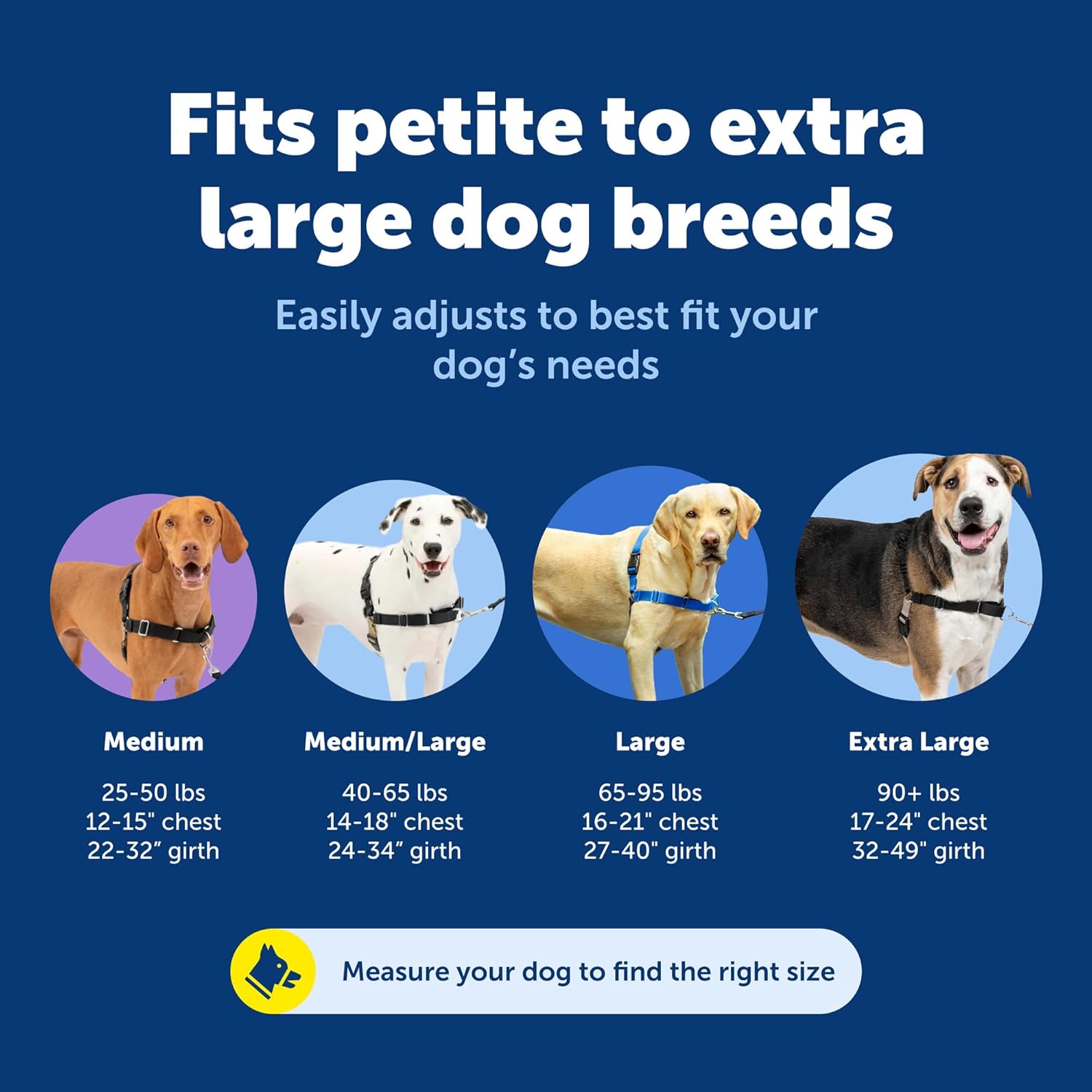 Easy Walk No-Pull Harness – Stops Pulling Kindly, Trusted by 1M+ Pet Parents