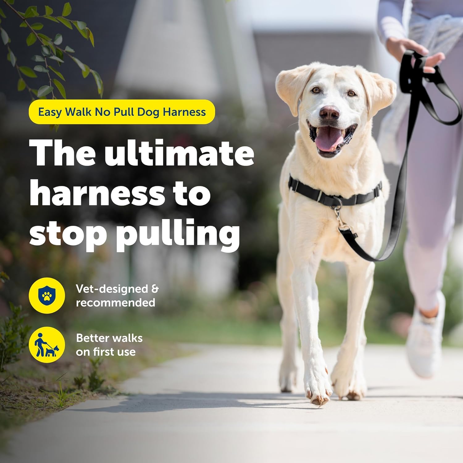 Easy Walk No-Pull Harness – Stops Pulling Kindly, Trusted by 1M+ Pet Parents
