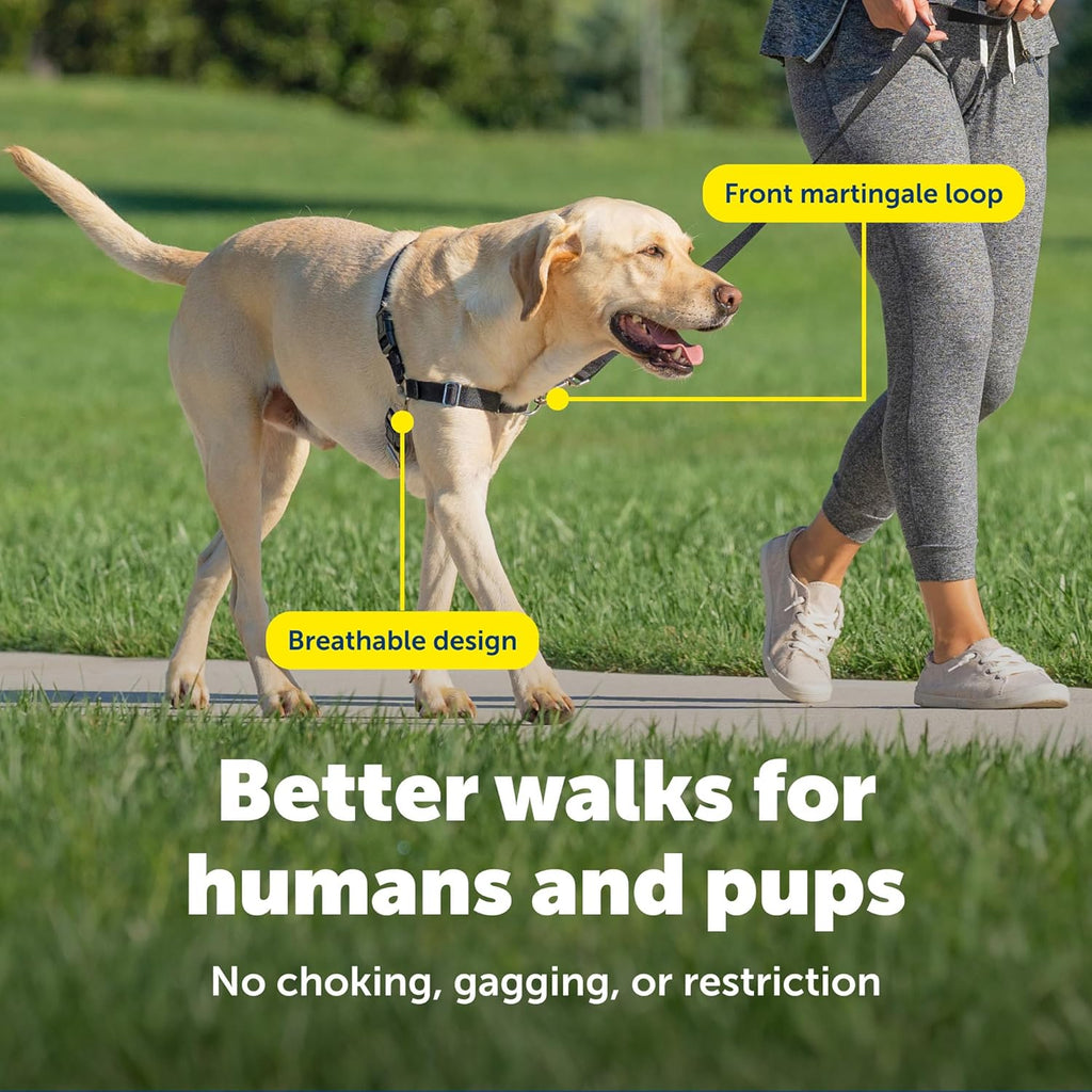 Easy Walk No-Pull Harness – Stops Pulling Kindly, Trusted by 1M+ Pet Parents