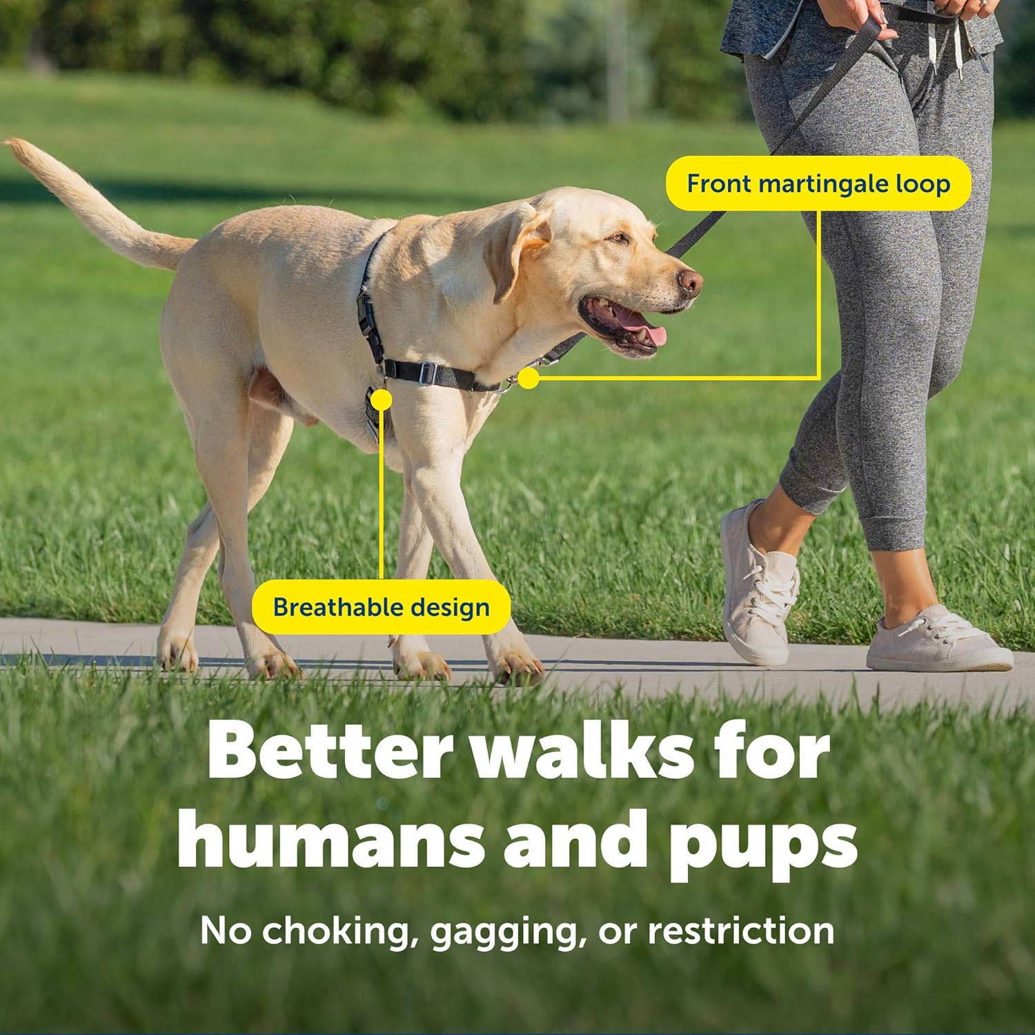 Easy Walk No-Pull Harness – Stops Pulling Kindly, Trusted by 1M+ Pet Parents