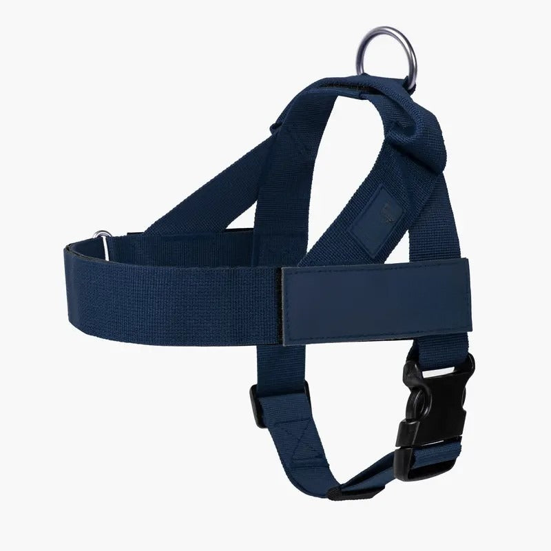 Dog Harness & Leash Set – Comfort, Safety & Control——Free shipping