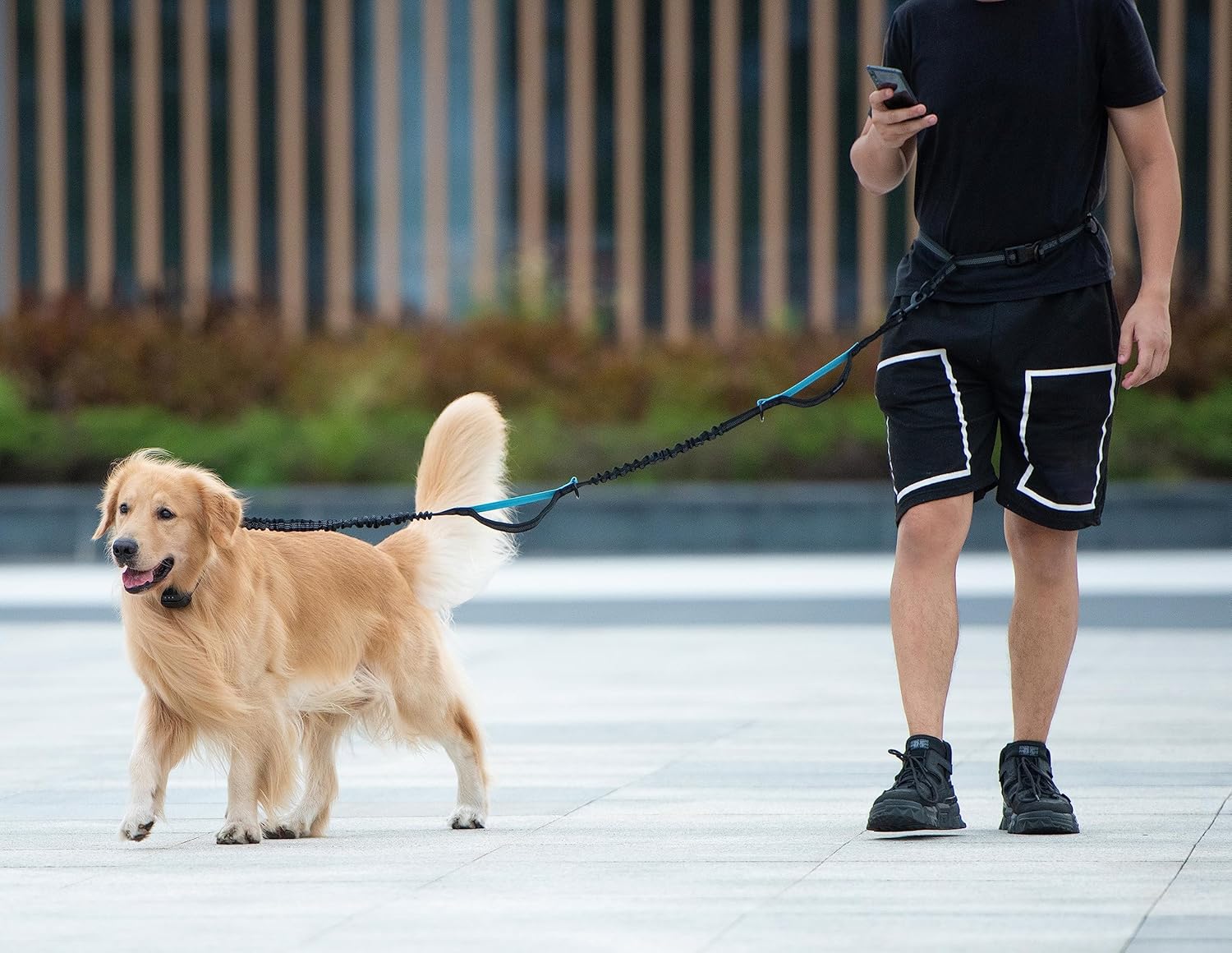 Run, Walk & Train Hands-Free – Double Shock Absorbers, Removable Pouch, 2 Handles (Waist + Traffic)