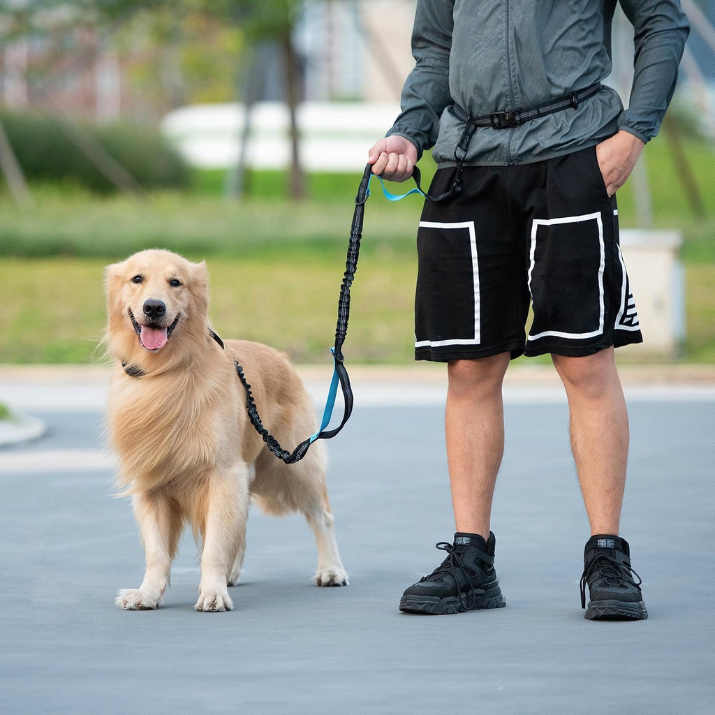 Run, Walk & Train Hands-Free – Double Shock Absorbers, Removable Pouch, 2 Handles (Waist + Traffic)