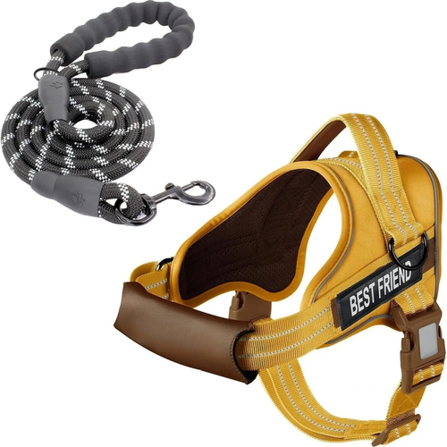 Complete No-Pull Dog Harness & Leash Set – Comfort, Control, and Safety in One Bundle