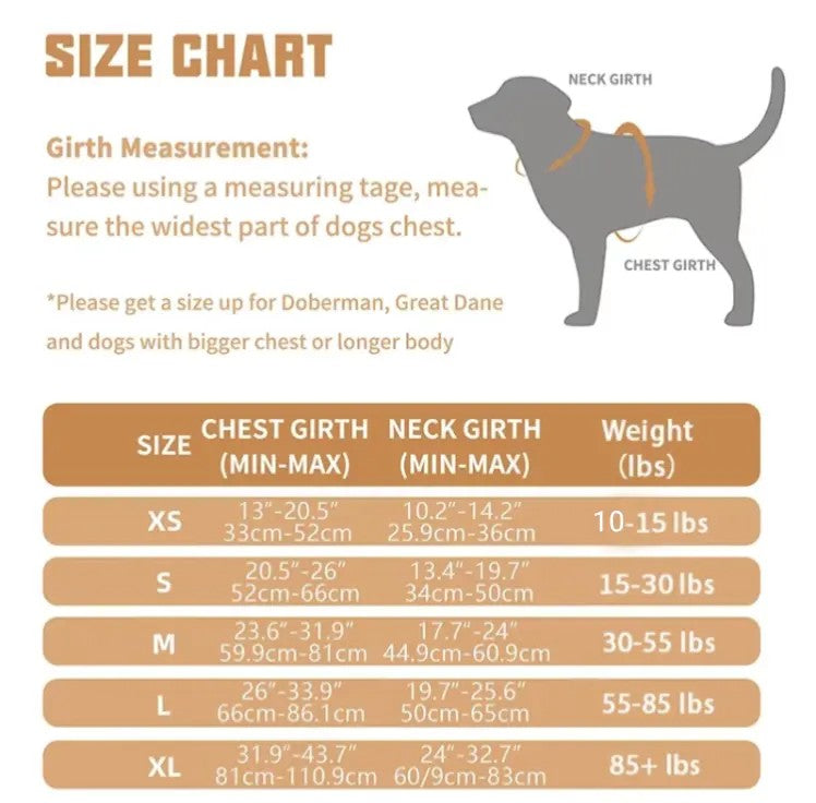 Complete No-Pull Dog Harness & Leash Set – Comfort, Control, and Safety in One Bundle