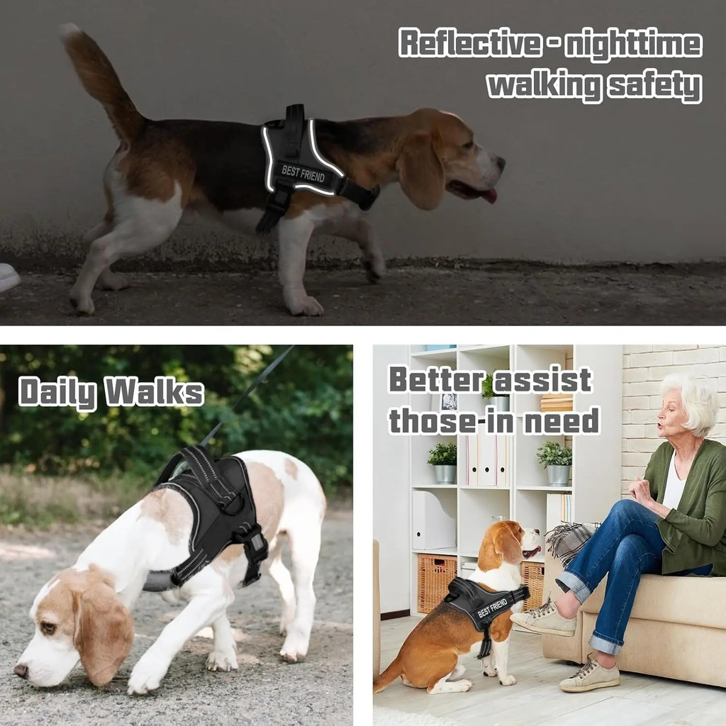 Complete No-Pull Dog Harness & Leash Set – Comfort, Control, and Safety in One Bundle
