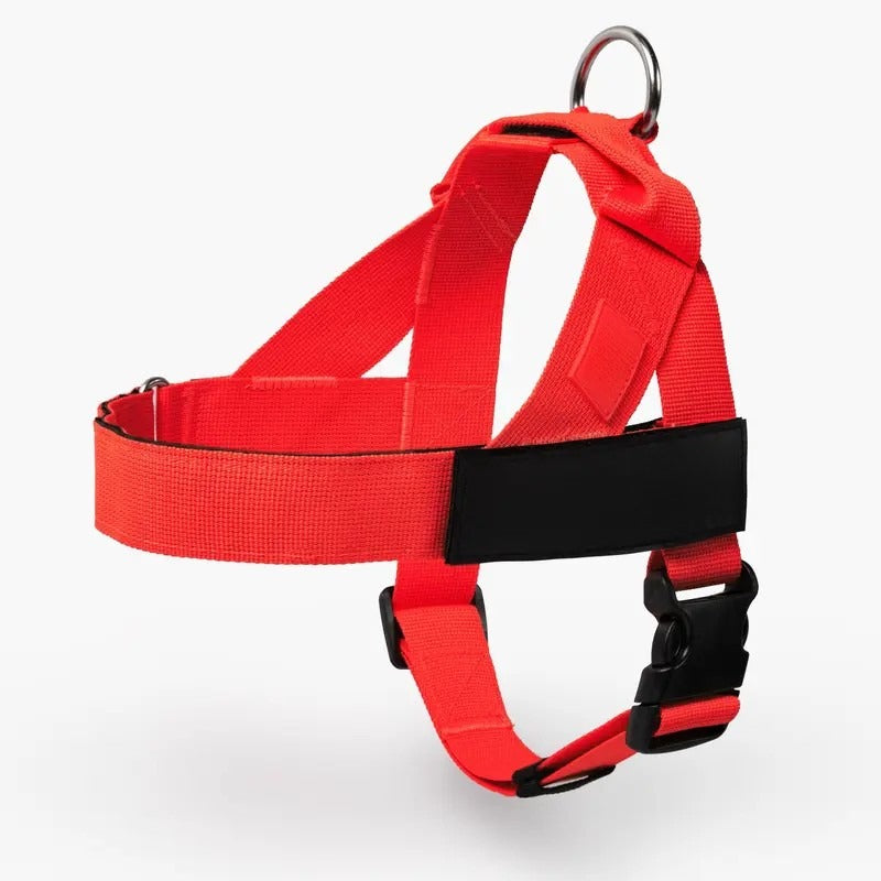 Dog Harness & Leash Set – Comfort, Safety & Control——Free shipping