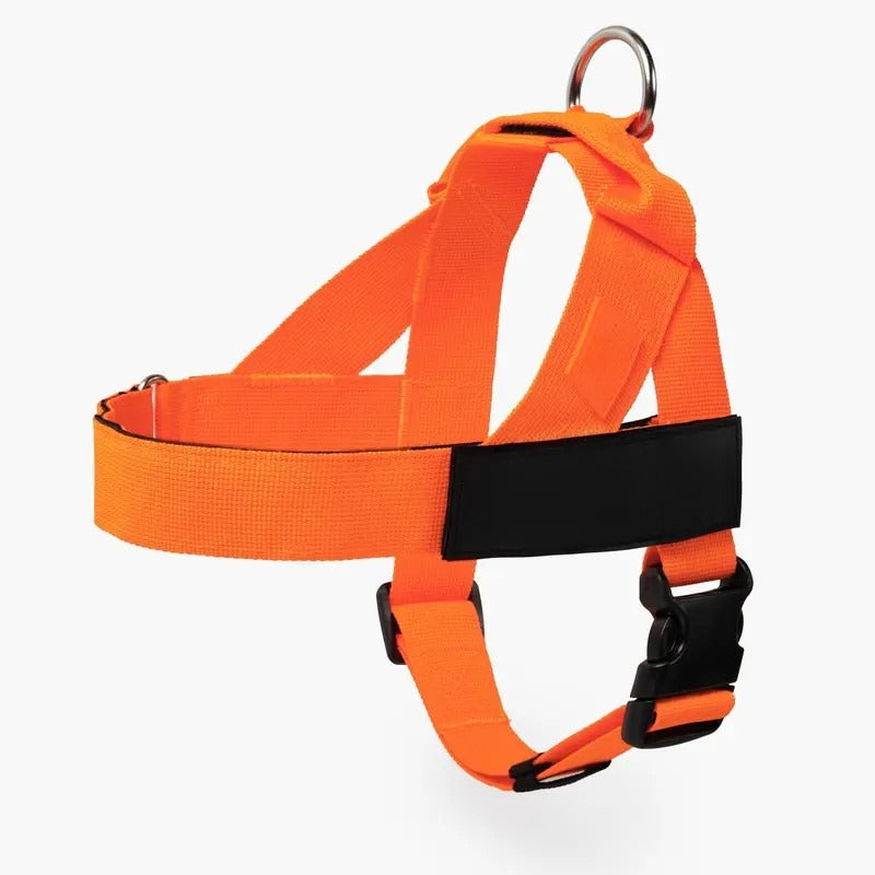 Dog Harness & Leash Set – Comfort, Safety & Control——Free shipping