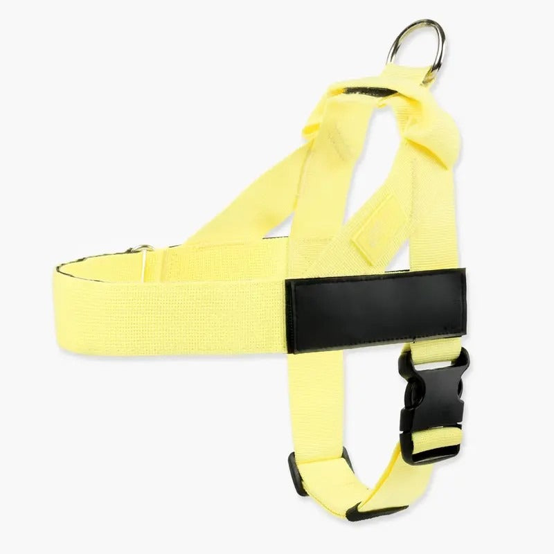 Dog Harness & Leash Set – Comfort, Safety & Control——Free shipping